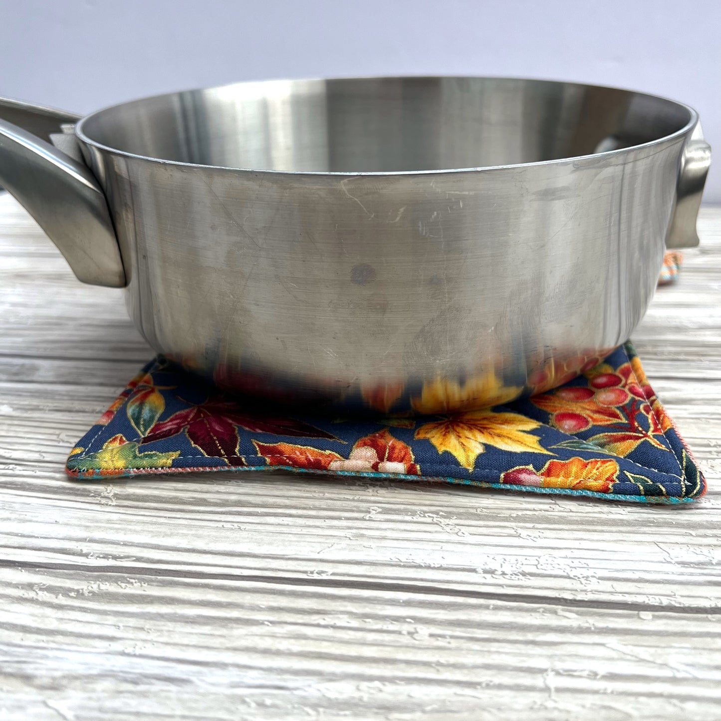 Fall Leaves Pot Holder
