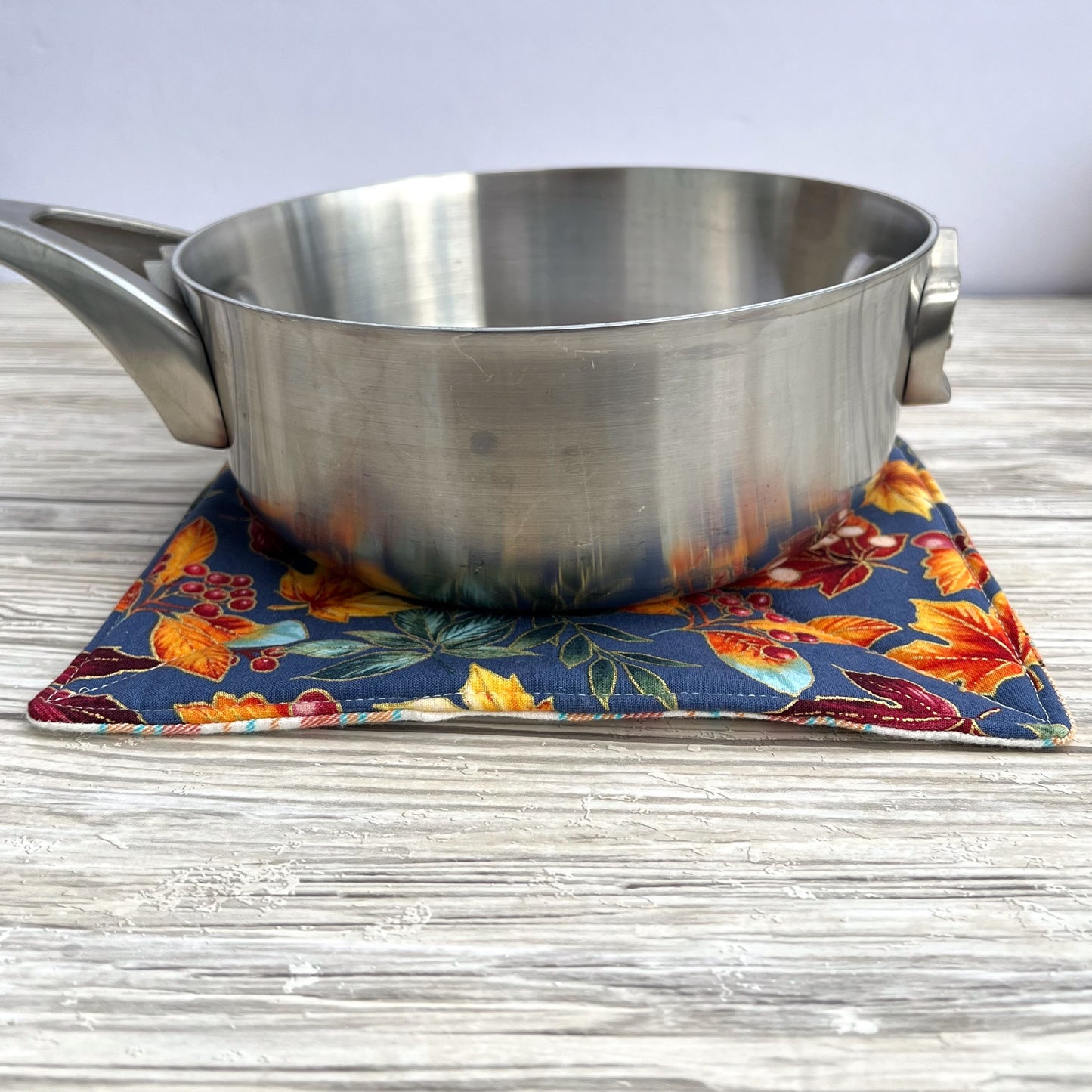 Fall Leaves Pot Holder
